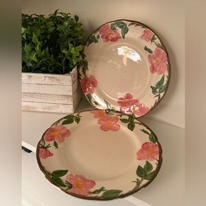Franciscan Desert Rose Pink & Green Floral Set of 2 10.75” Approx. Dinner Plates